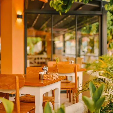 ウンサル オルデニズ